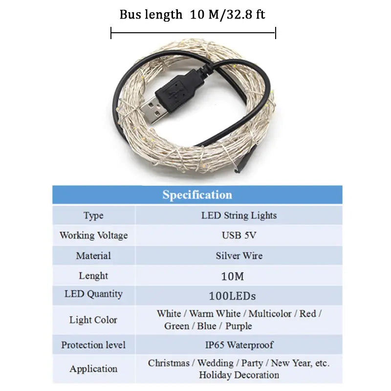 Enchanted LED USB Fairy Lights with Remote